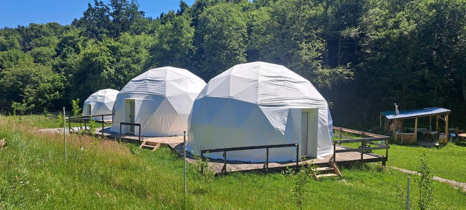 Forest Glamping Brasov Exterior photo